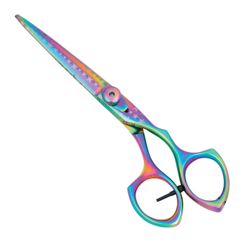 Professional Hair Cutting Scissors